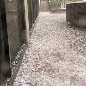 Meet your Posher, Diego